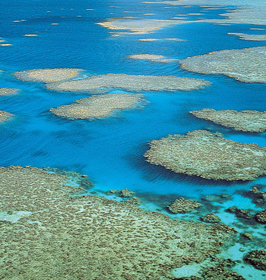 the great barrier reef location