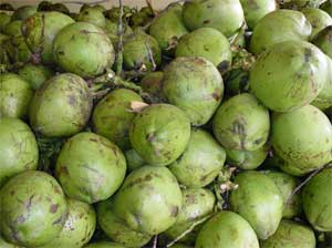 Green Coconuts