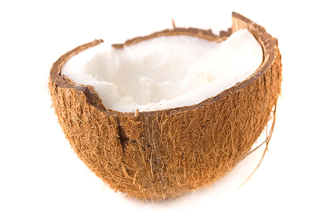 coconut1