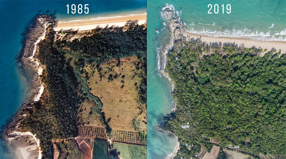 Thala Beach Nature Reserve from 1985 to 2019
