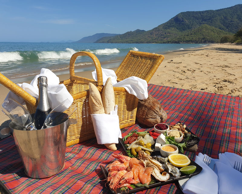 hamper beach picnic